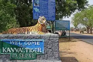 Evacuation of villages from Kawal Tiger Reserve accelerates