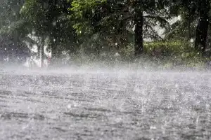 Possible Rainfall Expected in Telangana Over Next Two Days Due to Surface Circulation in Bay of Bengal