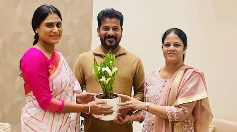 YSR Family’s Influence on Congress Turns into a Comedy of Errors in Telangana and Andhra Pradesh