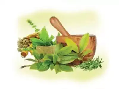 Ayush doctors intensify efforts to combat social media promotions of unproven drugs