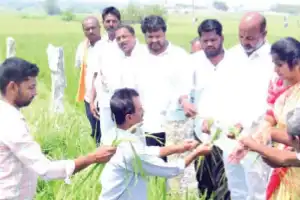 Bandi Sanjay surveys crops affected by damage