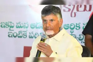 Chandrababu Naidu says TDP will announce most candidates on March 14