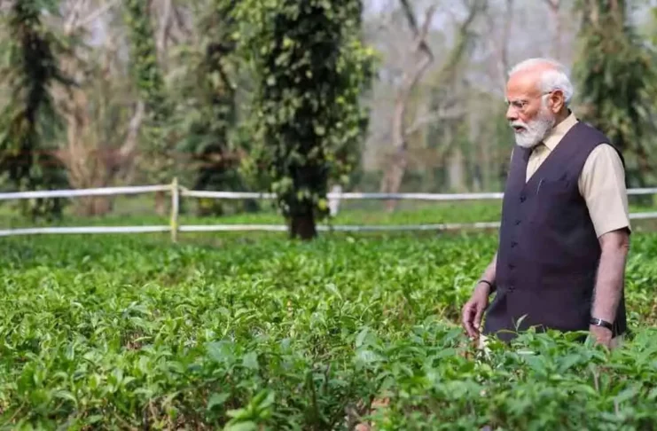 During his visit to Kaziranga, PM Modi celebrates the worldwide success of Assam tea.