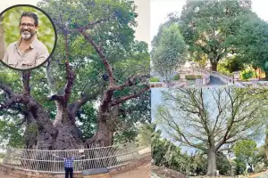 Founder of City Green Body in Hyderabad sets out on a mission to document ancient trees.