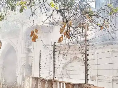 GHMC Urges Walkers to Take Action and Save Archeological Museum