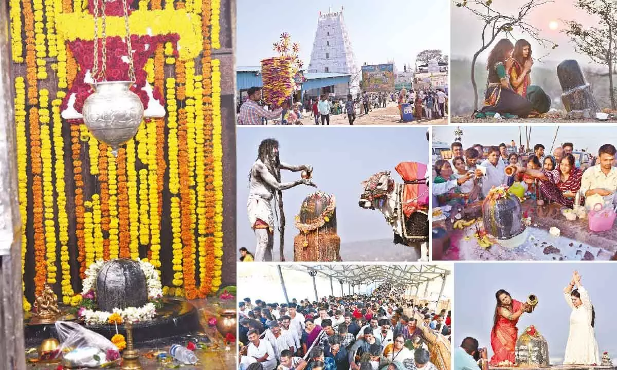 Maha Shivaratri celebrated with piety and fervour throughout the State