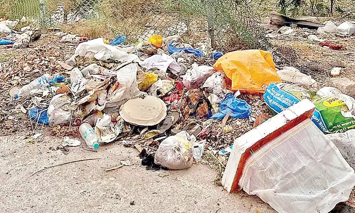 Residents of RK Puram concerned about diminishing lake size