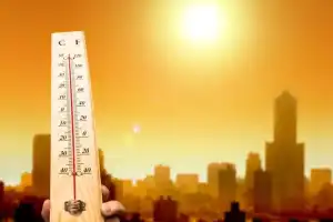Residents of Telangana Brace for Sweltering Summer Heat