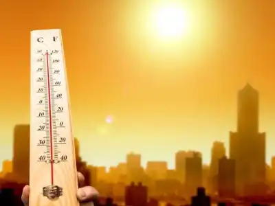Residents of Telangana Brace for Sweltering Summer Heat