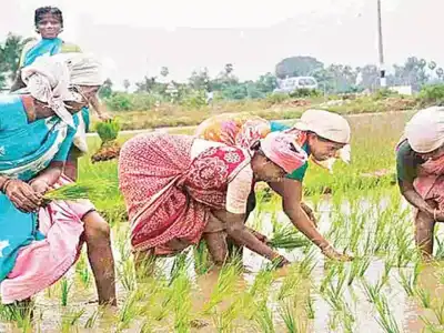 Rythu Bandhu benefit received by 92.68% of farmers