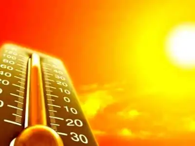 Telugu States to Experience Intense Sunlight Starting March 1