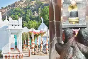 Temples echo with ‘Om Namah Shivaya’ on Maha Shivaratri