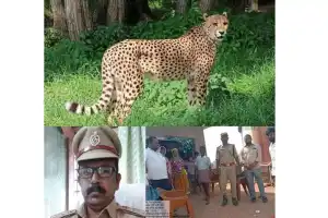 Villages on high alert for leopard movements, raising awareness with beat officers