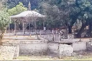 Activists advocate for revitalizing dying pond in Public Gardens