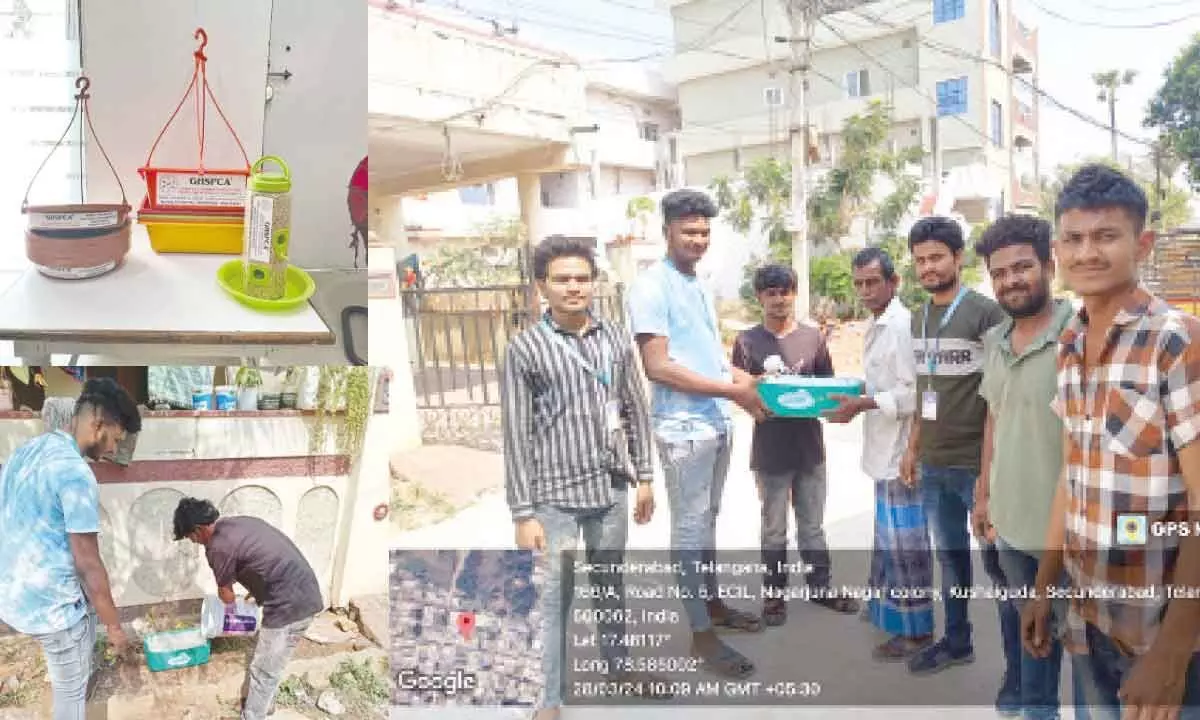 Animals and birds suffer in scorching heat; activists implement safety measures