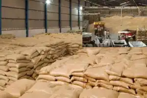 Chief Minister cautions millers against purchasing paddy from farmers at below market rates