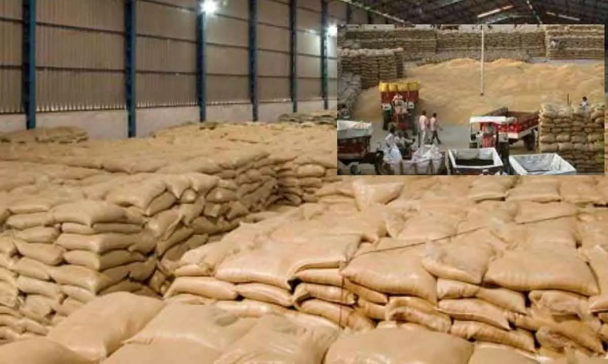 Chief Minister cautions millers against purchasing paddy from farmers at below market rates