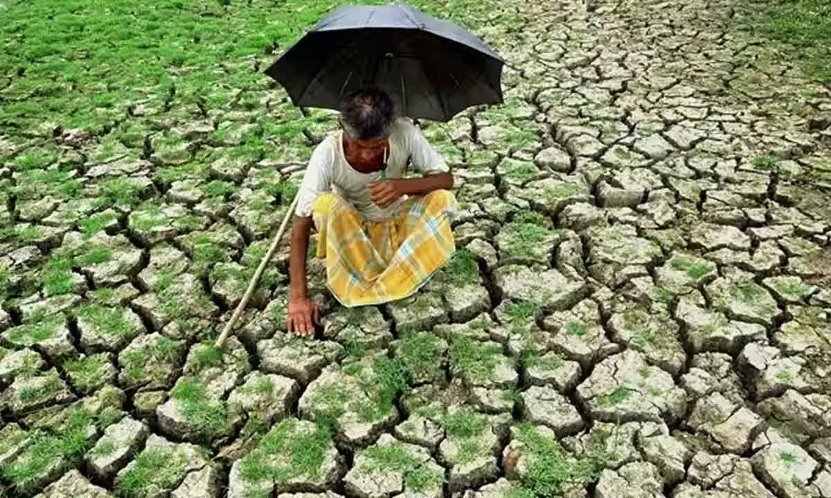 Farmers in Telangana still face uncertain future despite government changes