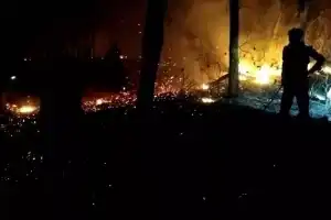 Forest department officials make efforts to put out fire in Nallamala forest
