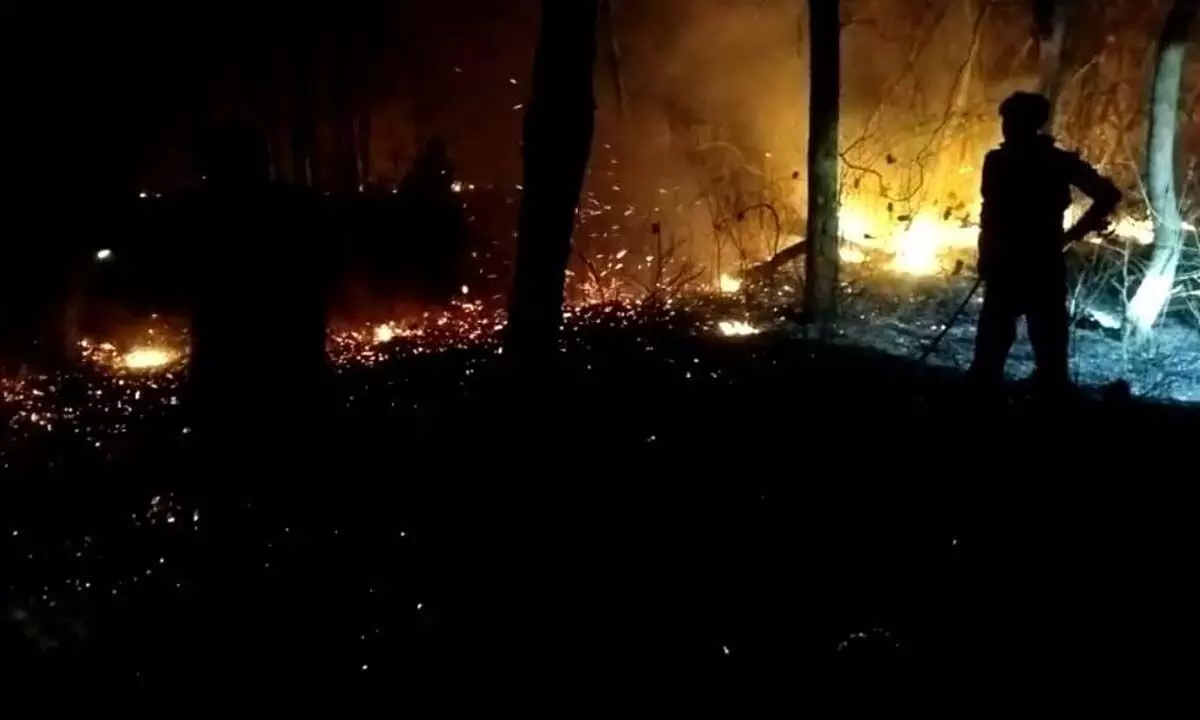 Forest department officials make efforts to put out fire in Nallamala forest