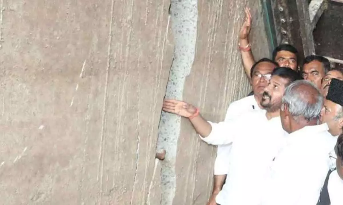 IIT Roorkee team discovers flaws in Medigadda design