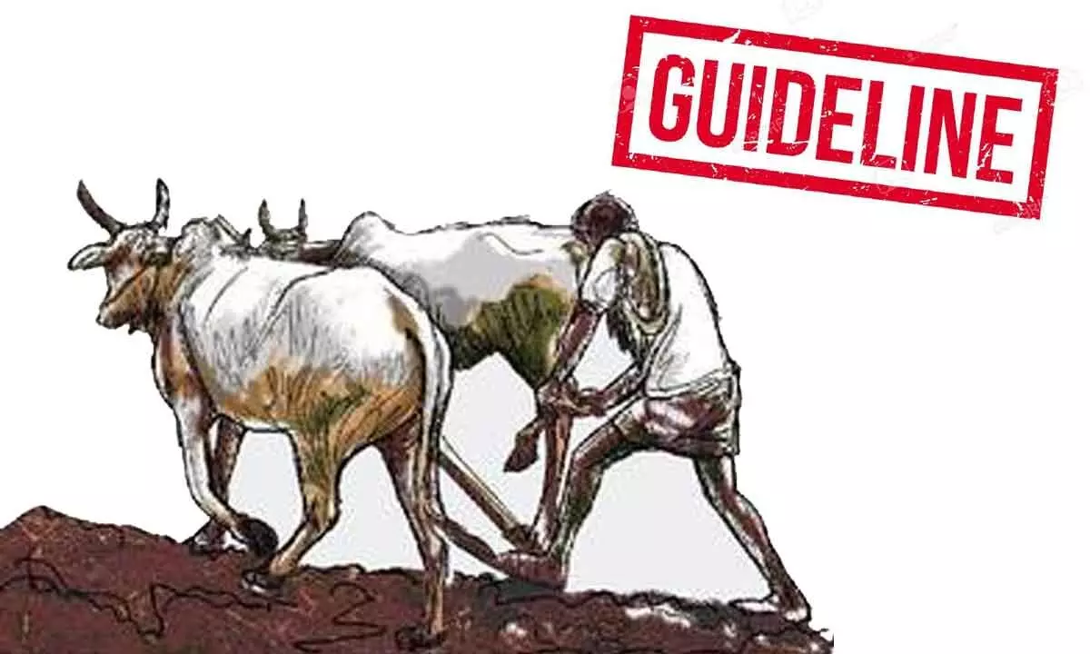 Loan waiver guidelines under development.