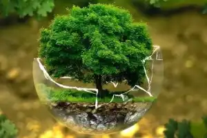 Mahindra University partners with sustainability initiatives through MoU