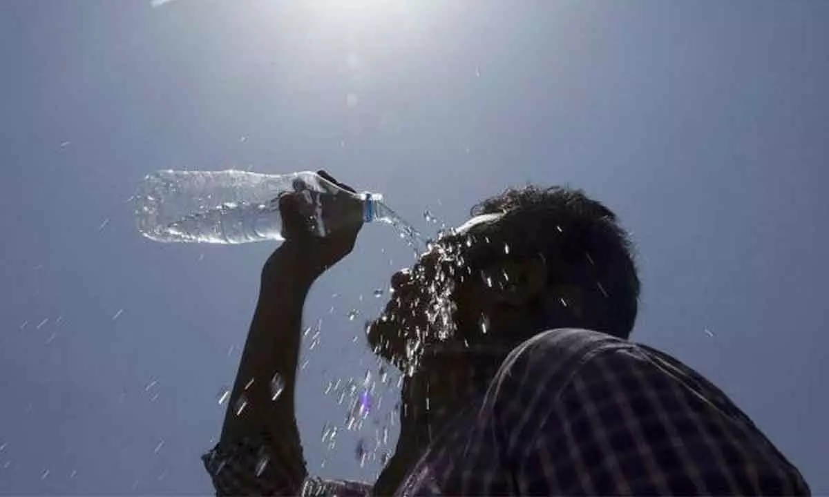 Many parts of State under red alert as temperatures soar to 47 degrees in Mercury