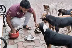 PETA releases guidelines for animal welfare
