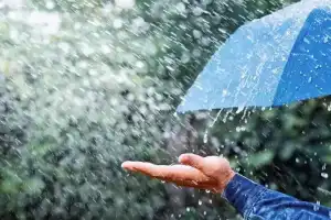Potential rainfall expected in select Telangana districts, offering relief