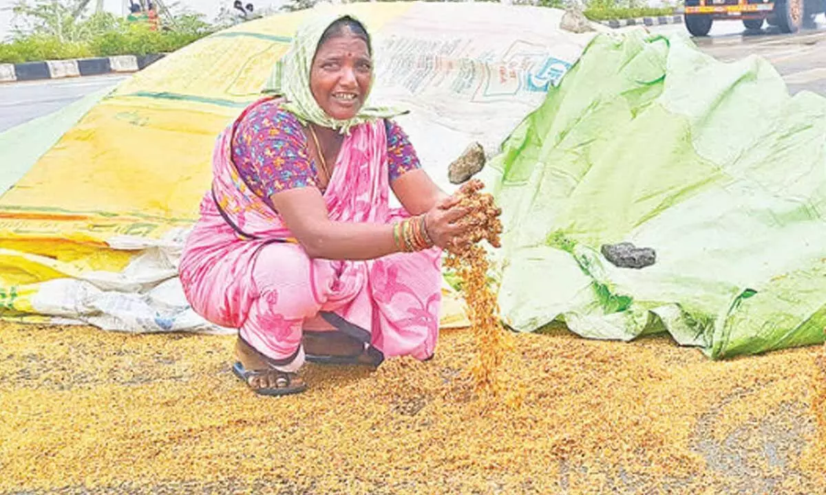 Tummala reports 2,200 acres of farmland damaged by heavy rains