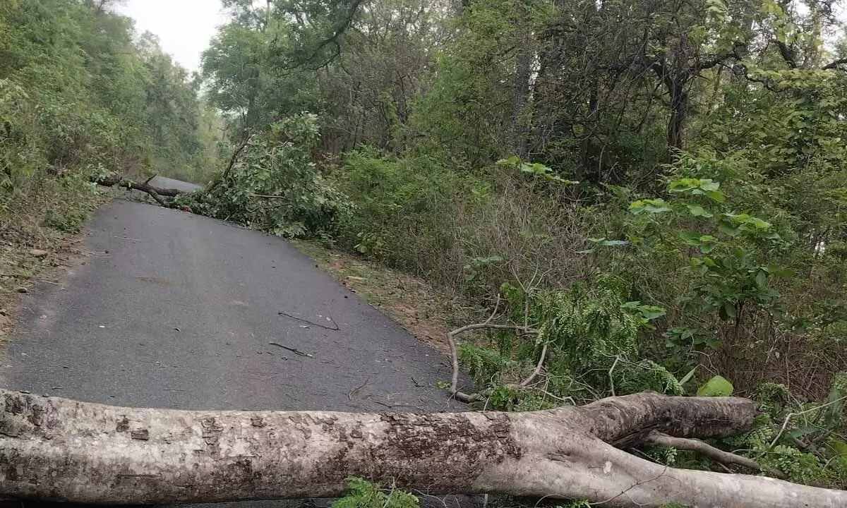 Banned CPI-Maoists causing severe suffering for ordinary citizens