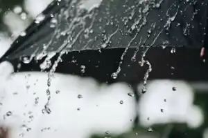 Details of Heavy Rainfall Forecasted in Telangana for Next Three Days