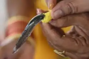 Distribution of Fish Prasadam to Start on June 8 at Exhibition Grounds in Hyderabad
