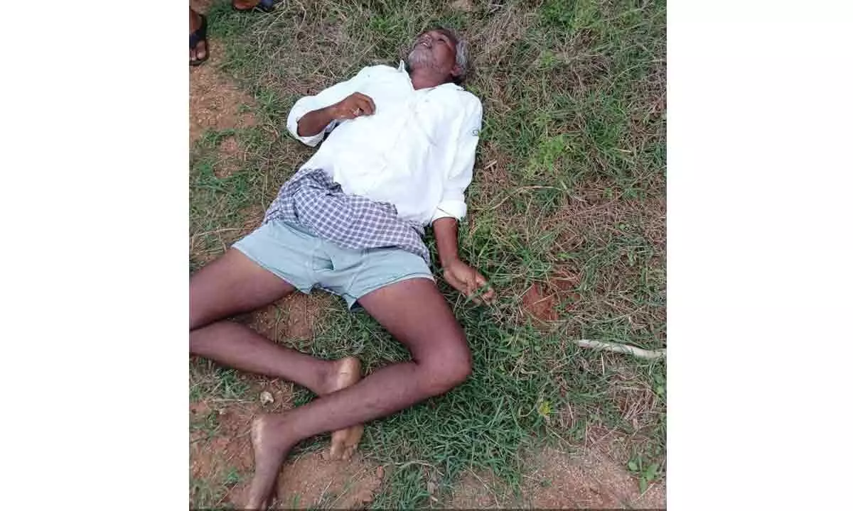 Farmer fatally electrocuted.