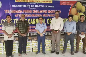 Farmer Producer Organization Recognizes Kollapur Mangoes in Delhi