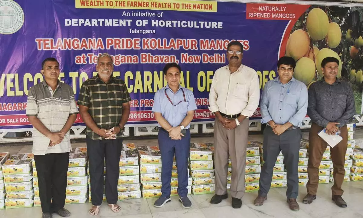 Farmer Producer Organization Recognizes Kollapur Mangoes in Delhi