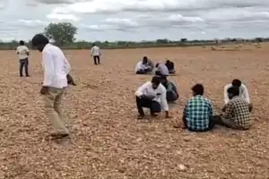 Farmers in Kurnool planting paddy, uncovering diamonds worth Rs 12-15 lakh each during harvest