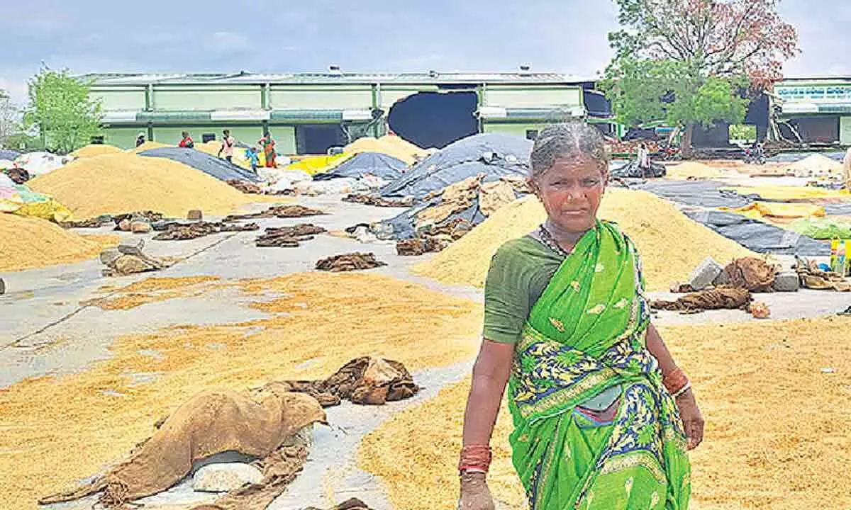 Farmers in Wanaparthy prepare to surround government offices in protest