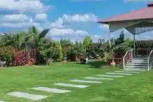 Hyderabad: Farmhouses becoming top choice for city getaways