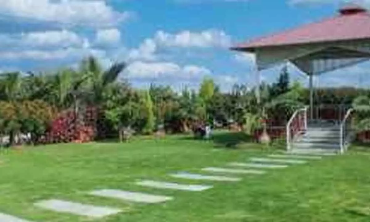 Hyderabad: Farmhouses becoming top choice for city getaways