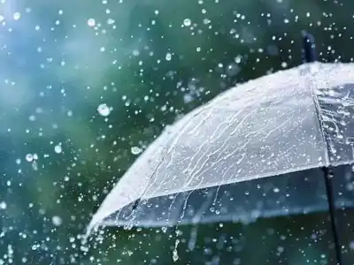 Hyderabad Meteorological Department issues health advisory due to rain forecast
