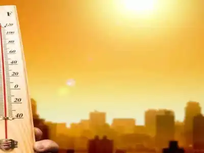 Hyderabad on high alert as IMD issues orange warning