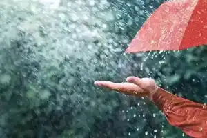 IMD issues alert for heavy rains in specific districts
