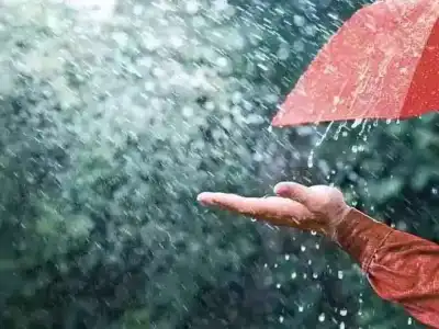 IMD issues alert for heavy rains in specific districts
