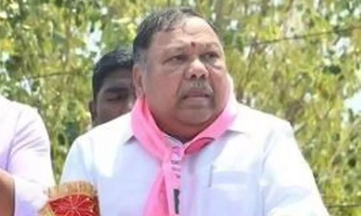 Kasani asserts that he is his own competition in the poll arena