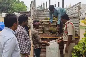 Large quantity of marijuana seized in Kothagudem district