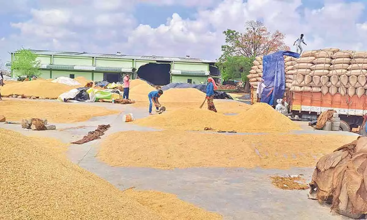 PACS facilitates paddy purchase