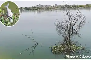 Residents of Ameenpur on high alert as heavy rains cause flooding concerns
