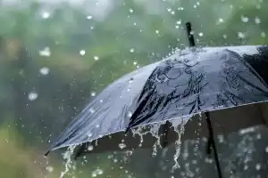 Telangana to Experience Moderate Rainfall for Next 5 Days, Forecasted by Meteorological Department